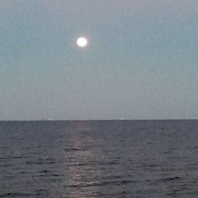 BradT2712's profile picture. 