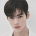 CHA EUN-WOO OFFICIAL (@CHAEUNWOO_offcl) Twitter profile photo