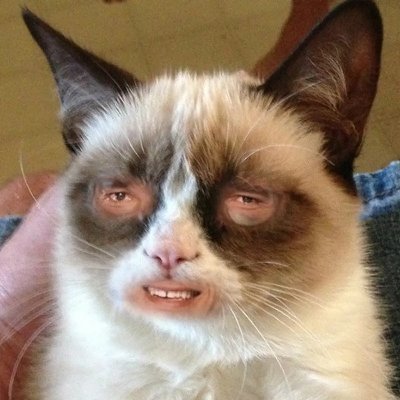 BetaWargod's profile picture. yr 20+