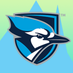 BlueJay Bash (@bluejaybash) Twitter profile photo BlueJay Bash (@bluejaybash) Twitter profile photo