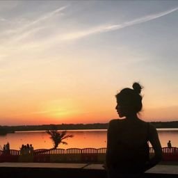 thesisl13560's profile picture. 