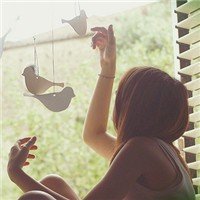 Gosafen15594's profile picture. 做個朋友，分享Life or story