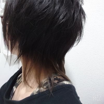 samesamesharks's profile picture. 家にトカゲが居る。永遠の推しは三橋貴志と堂本剛
