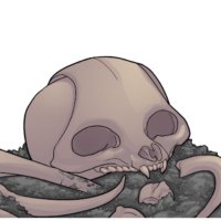 bones (@bonesrekt) 's Twitter Profile