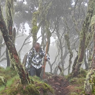 Life is fragile... 
Coram Deo
🏔 #Rwenzori2022
⛰️ #Elgon2023
⛰️ #Sabyinyo23
⛰️ #Muhabura24
🏔 #Kili24