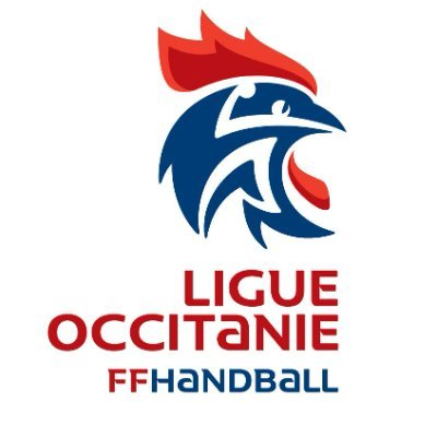 Compte officiel de la Ligue #Occitanie de #Handball.
