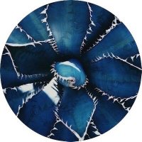 𝕪𝕦 𝕪𝕦 🧌 (@totaleclipse025) 's Twitter Profile Photo