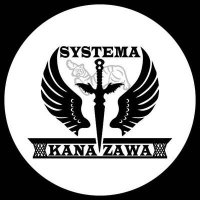 システマ金沢自主練会 (@syskanajishuren) 's Twitter Profile Photo