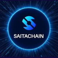 Official SaitaChain Discord(@SaitamaDiscord) 's Twitter Profile Photo