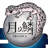 月ノ鱗 (@tsukinouroko) 's Twitter Profile