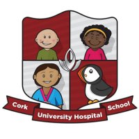Cork University Hospital School (@scoilcuh) 's Twitter Profile