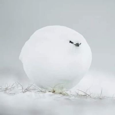 YuuVn20's profile picture. nothing