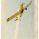 LaDonna Whitlock - @LaDonnaWhitlock - Twitter