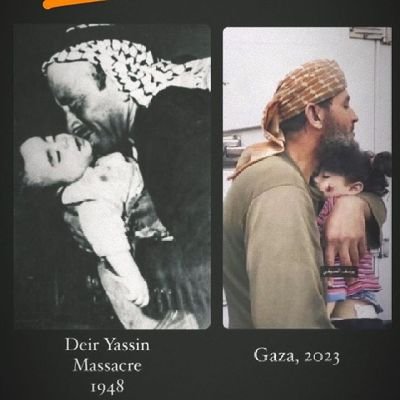 Jordan_Hiba's profile picture. Free Palestine