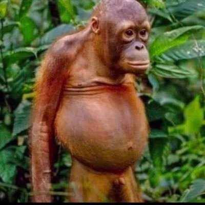 all_a_sham's profile picture. 