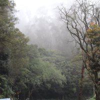 Gp (@5029f74d0f7c4e4) 's Twitter Profile