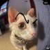 .. (@peanamlom43435) Twitter profile photo .. (@peanamlom43435) Twitter profile photo