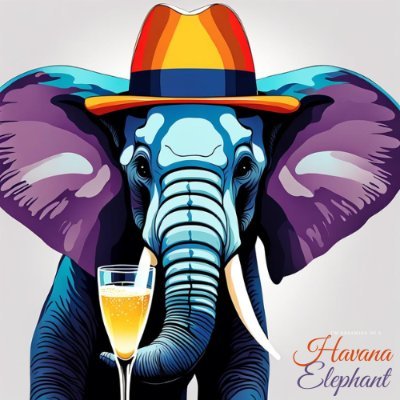 Online shop offering Havana Elephant branded products from wearables to home decor. NFTs minted with gift and connected long term financial benefits.