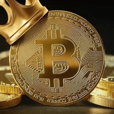 Bitcoin/Crypto/Finance/DCA/Holder
