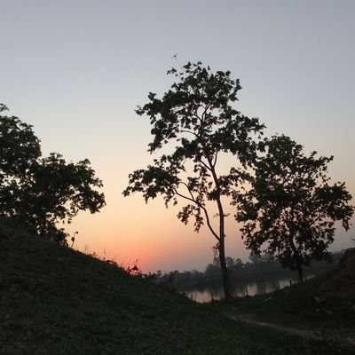MdMahfu46233735's profile picture. 