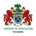 Ministry of Agriculture - The Gambia (@moagambia) Twitter profile photo Ministry of Agriculture - The Gambia (@moagambia) Twitter profile photo