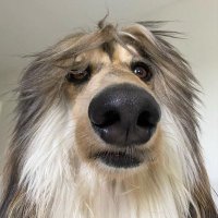 Roland Barbe (@rolandbarbe) 's Twitter Profile
