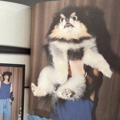 _chilawja's profile picture. I don’t know.