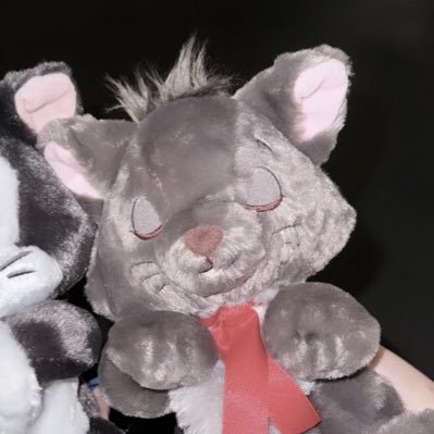 P59Bk's profile picture. ぷりきゅあすりー