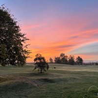 davidhurst (@davidhurst4) 's Twitter Profile
