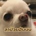 Bast Bast (@buforticket) Twitter profile photo Bast Bast (@buforticket) Twitter profile photo