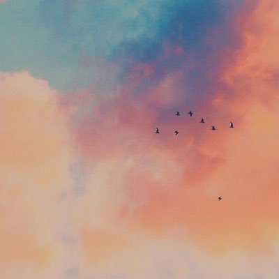 iulianagy23's profile picture. 