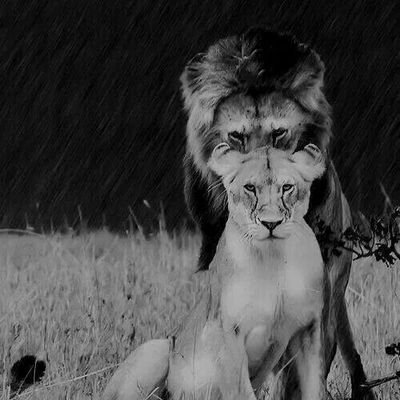 Borsakaptan96's profile picture. Hikayen yoksa hikaye olursun