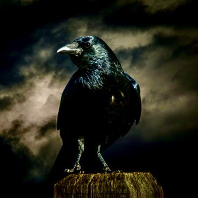 DarknesssRaven Profile Picture