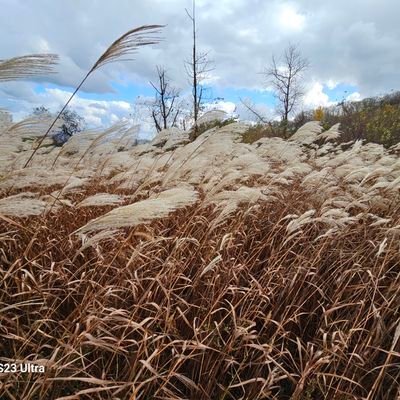 kuangjo933's profile picture. 아자씨$AUKINitrograph