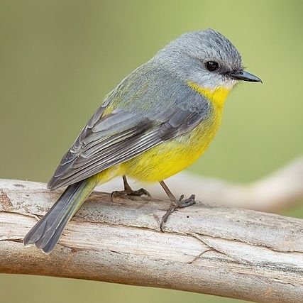 tellmewhattodo0's profile picture. 