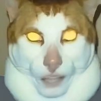 TommeB07 (@tommeb07) 's Twitter Profile