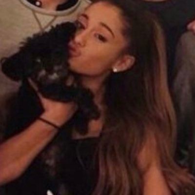 ゚+*:ꔫ:*﹤ they say only fools fall in love @goIdenobx ﹥ *:ꔫ:* *:ꔫ:* +*:🧸fan account🧸:*+゚*:ꔫ:* *: ゚*:ꔫ: