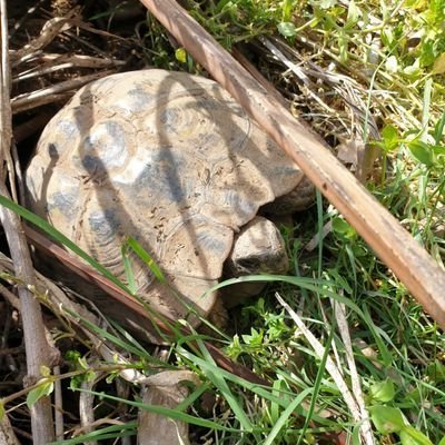 PSecession60529's profile picture. ‘Principia-Logico’ out now. Marxist-Pacifist. Atheist. https://t.co/lonHtUTkmc reford19@yahoo.com #logic