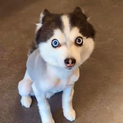 phanu326's profile picture. 