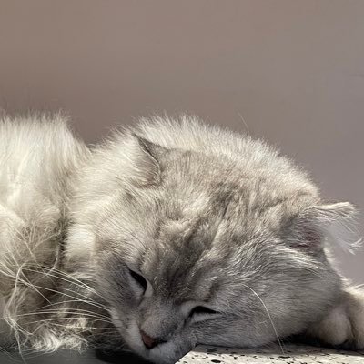 336I6eIEnq93488's profile picture. 