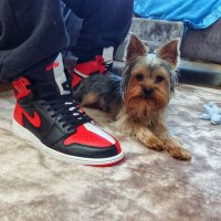 JORDANSHOOTER (@jordanshooterz) 's Twitter Profile