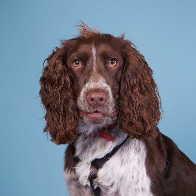 matthw09's profile picture. @term_labs