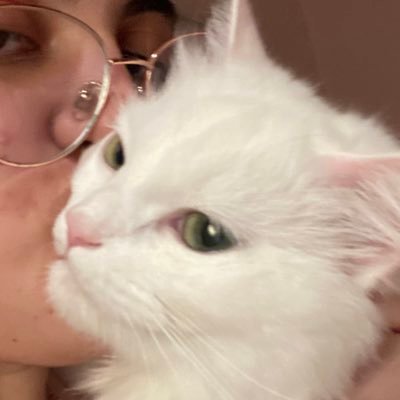 I love pedro pascal because this is the way • interior design • cats cats cats • new friends are needed