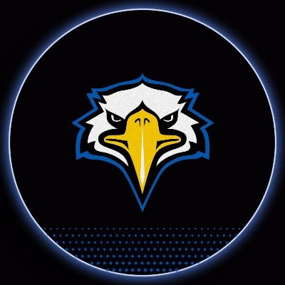 MSUEaglesWBB Profile Picture