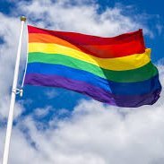 prideforall55's profile picture. this is for a school project pls ignore