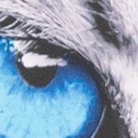 Jags Fan (@pixbyandy) 's Twitter Profile Photo Jags Fan (@pixbyandy) 's Twitter Profile Photo