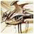 Raconteur.