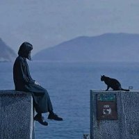 Gülçin (@gul_ozatk) 's Twitter Profile