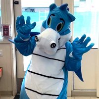 El Carmelo Elementary School (@carmelodragons) 's Twitter Profile Photo El Carmelo Elementary School (@carmelodragons) 's Twitter Profile Photo