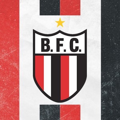 Botafogo Futebol S/A Profile